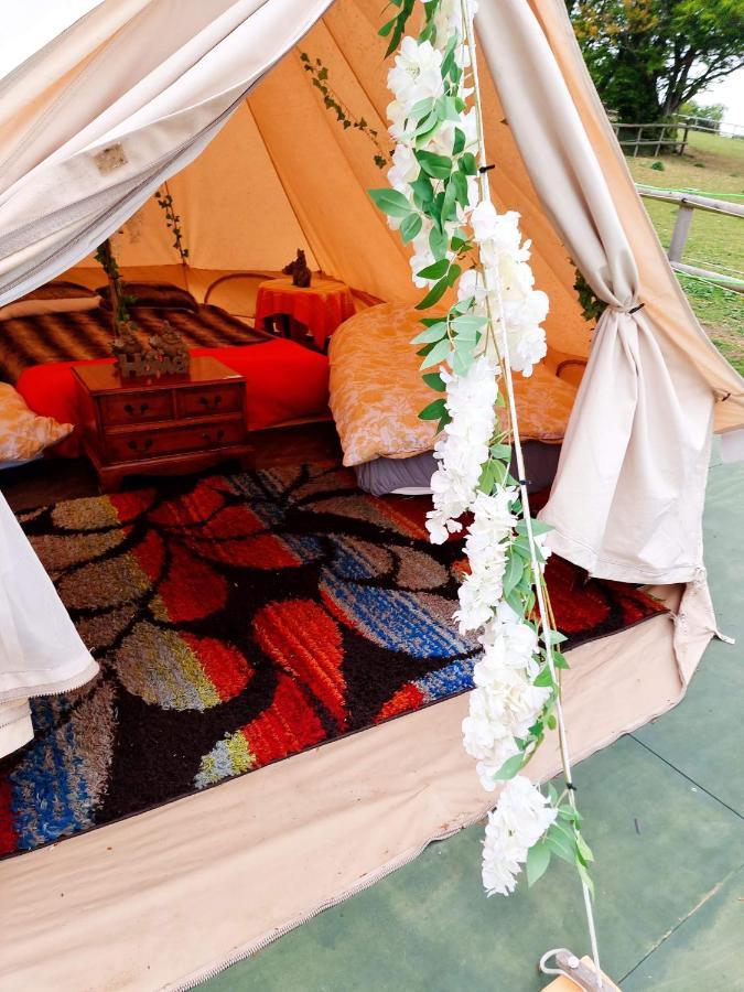 Hotel Walnut Tree Glamping Sturry Exteriér fotografie