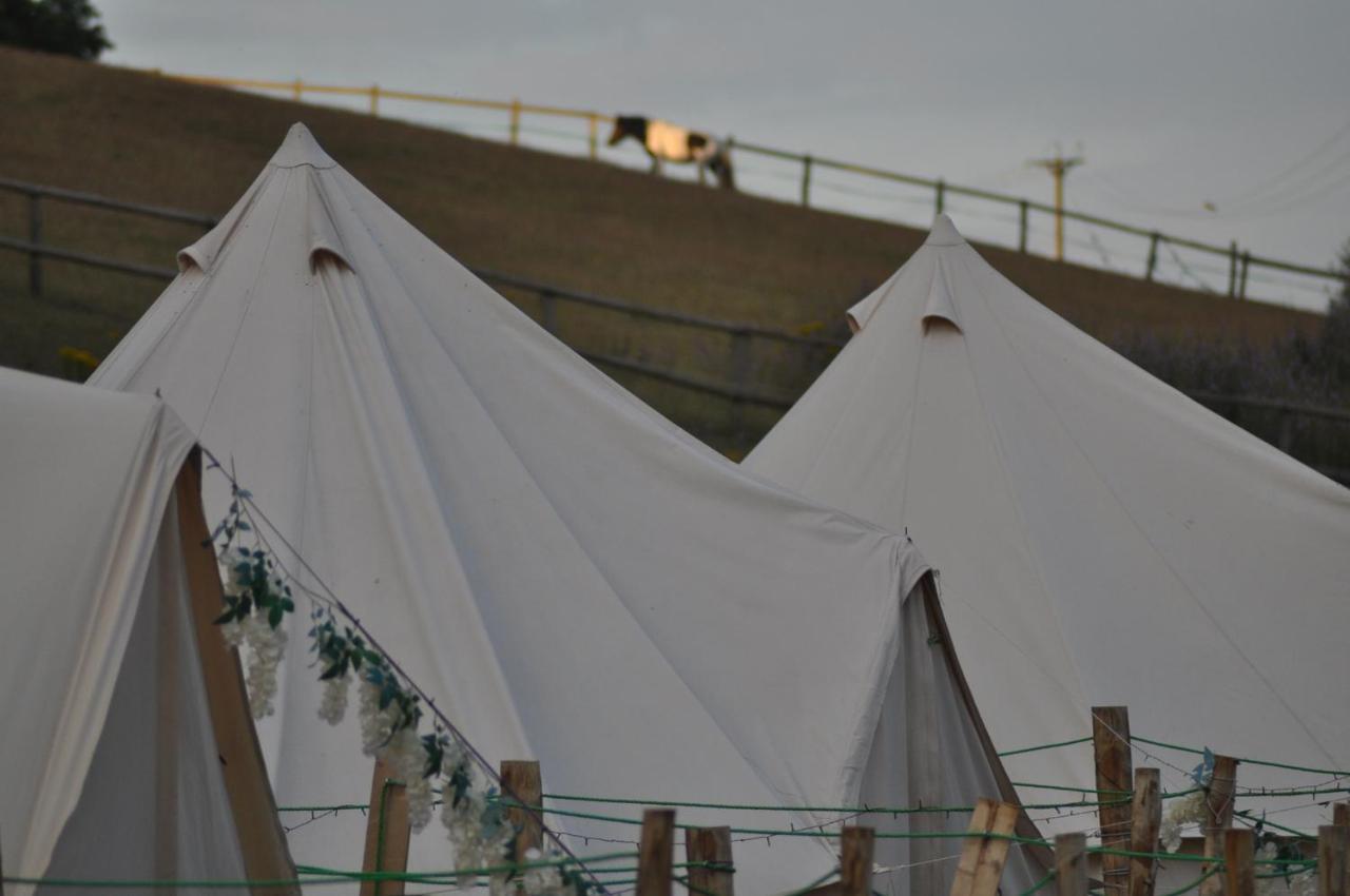 Hotel Walnut Tree Glamping Sturry Exteriér fotografie